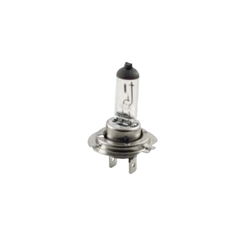 12V - 55W H7 Halogen Bulb 12V - 55W H7 Halogen Bulb
