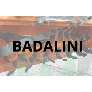 Zappette Badalini
