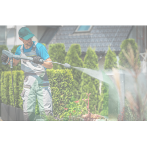 Professional Pressure Washers | Cold & Hot Water