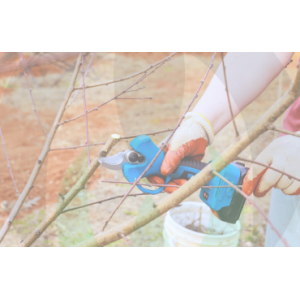 Cesoie Elettriche e Batteria