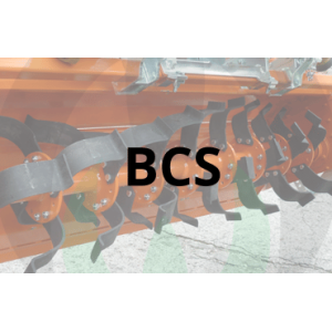 BCS Tiller Blades