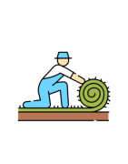 Lawn Care