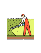 Hedge Care - Tools and Products for Well-Groomed Hedges | Raim