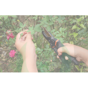 Pruning Shears and Snips | Professional & Battery