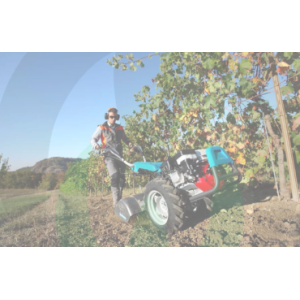 Tillers and Motor Cultivators | BCS, Hyundai, Diesse | Soil Tillage
