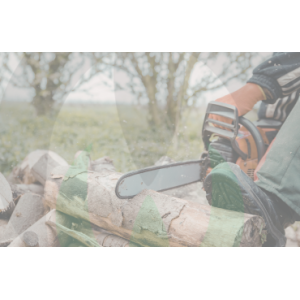 Petrol, Battery and Pruning Chainsaws | Prices & Parts