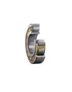 Single Row Cylindrical Roller Bearings | SKF, FAG, Timken & More | Reliable Supplies | Raim