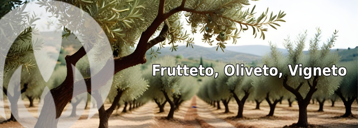 Frutteto, Oliveto, Vigneto - Raim 