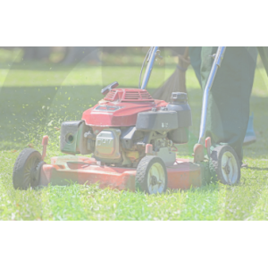 Professional Petrol Lawnmowers | Self-Propelled & Mulching