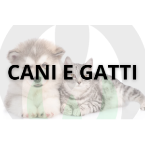 Accessori Cani e Gatti