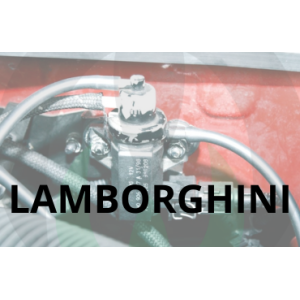Lamborghini Exhaust Parts