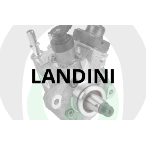 Landini Injection Pumps