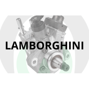 Lamborghini Injection Pumps