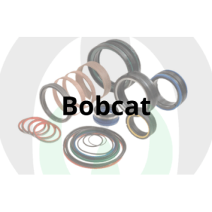 Guarnizioni e Kit Cilindri per Bobcat | Raim