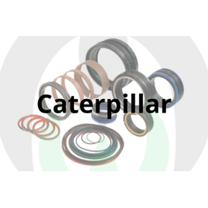Guarnizioni e Kit Cilindri per Caterpillar | Raim