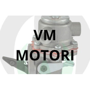 Pompe Alimentazione e Ricambi per VM Motori | Raim