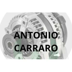 Alternatori per Trattori Antonio Carraro | Raim
