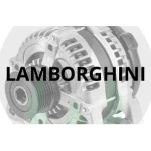 Alternators for Lamborghini Tractors | Raim