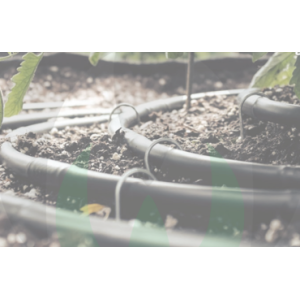 Ala Gocciolante Autocompensante | Irrigazione Orto e Giardino