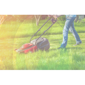 Rasaerba a Scoppio, Batteria e Robot | Cura del Prato