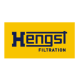Hengst
